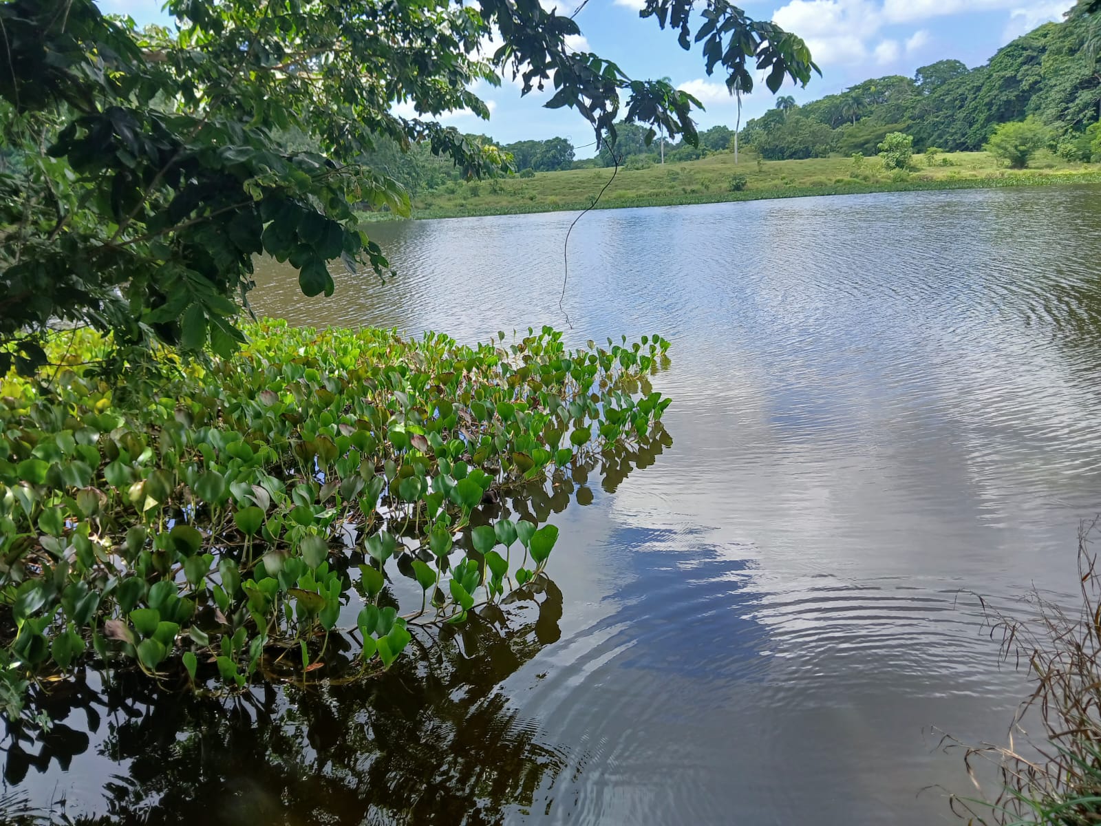 Visita a Las Humedales del Ozama